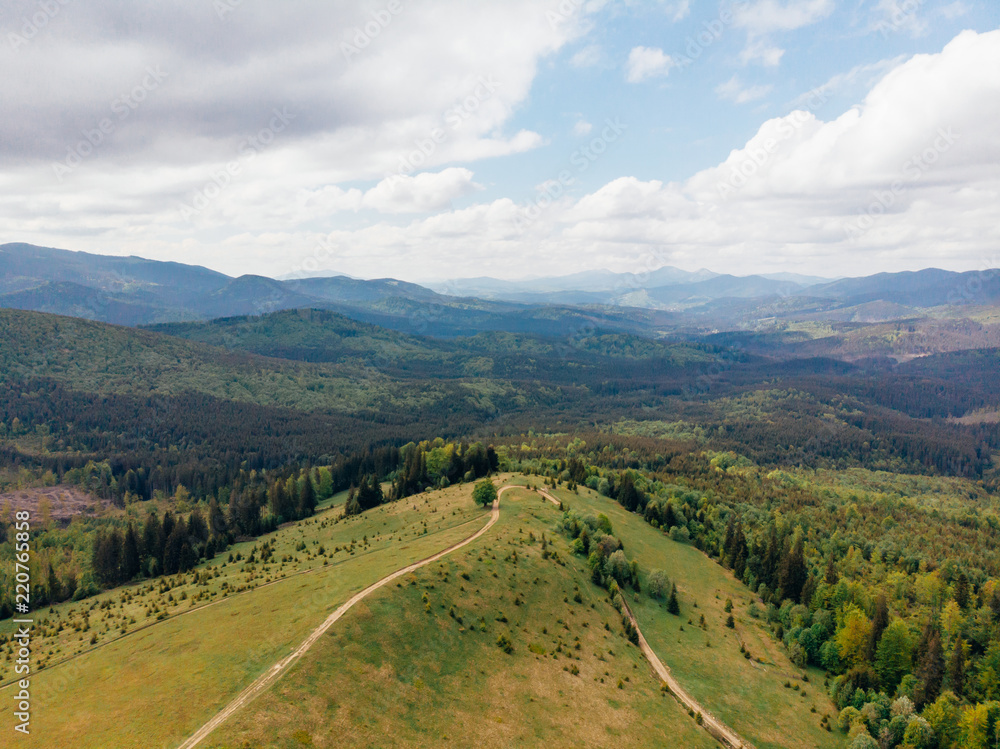 Fototapeta premium aerial view of green fields, trees and hills in arezzo province, Italy