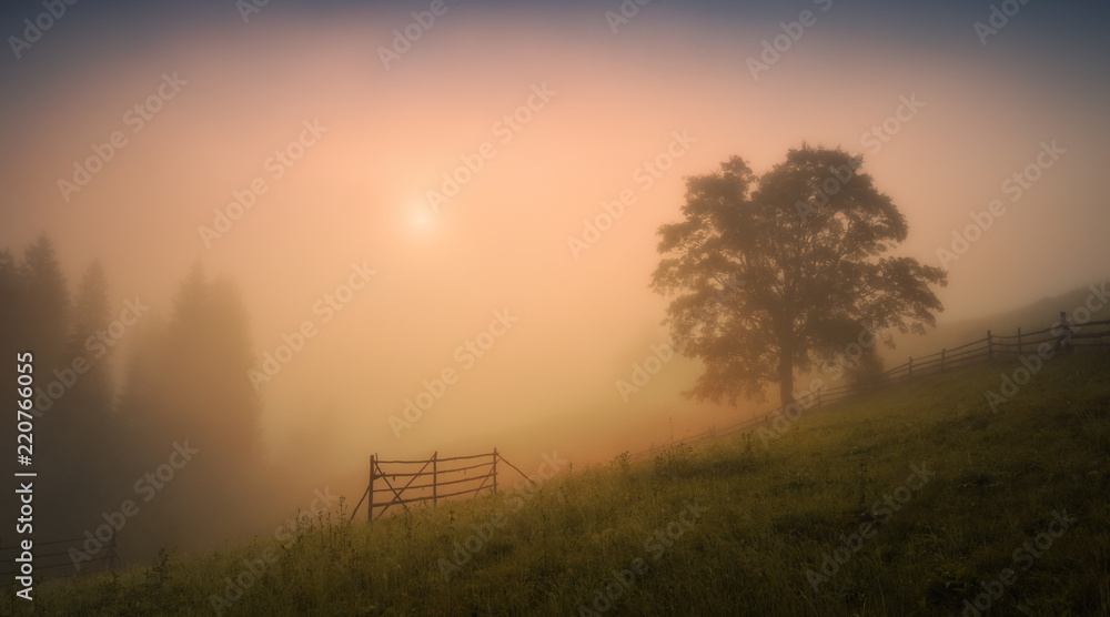 Carpathian valley in a deep morning fog