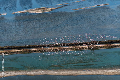 vue aérienne de flamands roses dans les Salins de Giraud dans les Bouches-du-Rhône en France photo