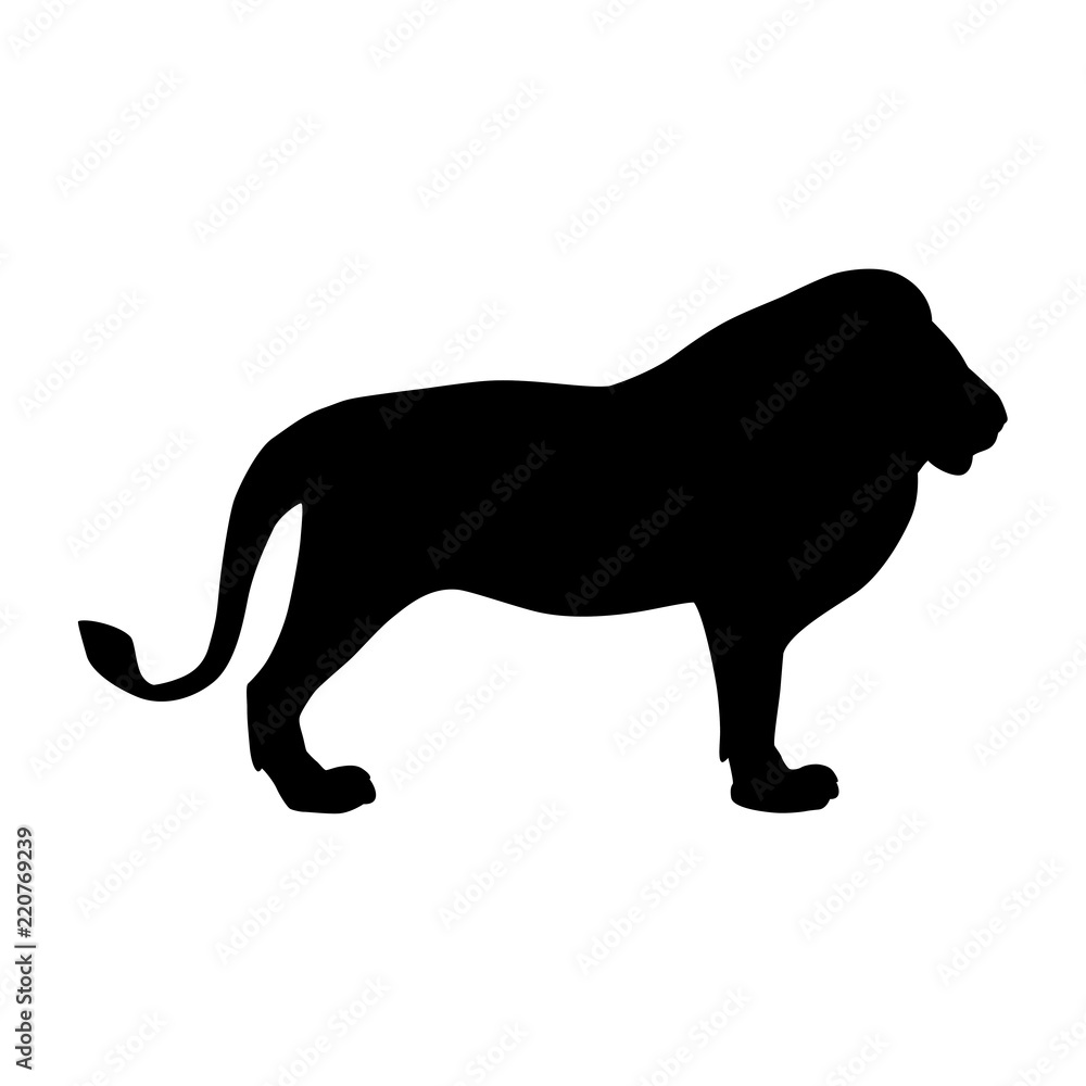 
Black silhouette of lion isolated on white background. Vector illustration EPS 8