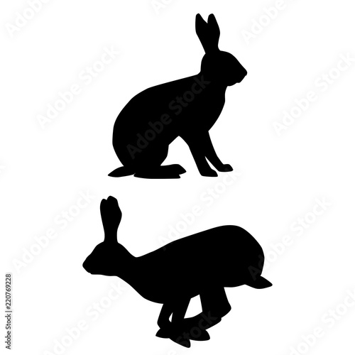 Black silhouettes of sitting and jumping hares isolated on white background. Vector illustration EPS 8 photo