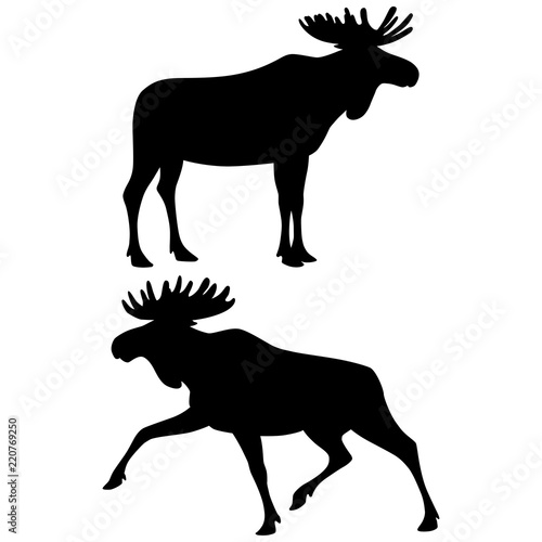 Black silhouettes of standing and running moose isolated on white background. Vector illustration EPS 8