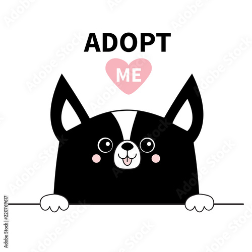 Black chihuahua dog face head. Hands paw holding line. Adopt me. Help homeless animal Pet adoption. Pink heart. Cute cartoon puppy character. Funny baby pooch. Flat design. White background