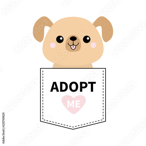 Adopt me. Dont buy. Dog in the pocket. Pet adoption. Puppy pooch Pink heart. Flat design. Help homeless animal concept. White background. Isolated.