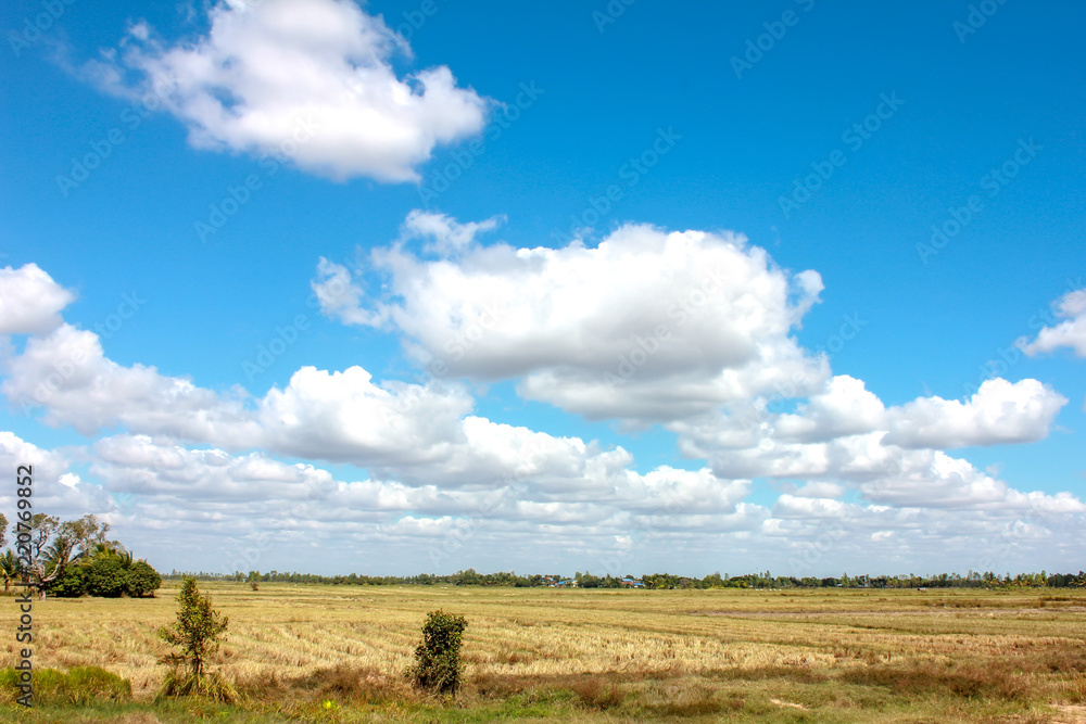 White clouds in the sky in a field with a canal.