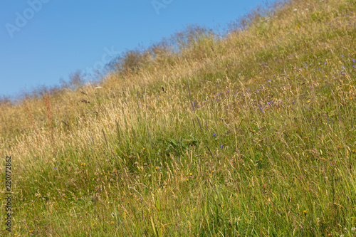 Green grass on the slope of a mountain against blue sky