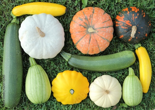 Squash and courgettes.