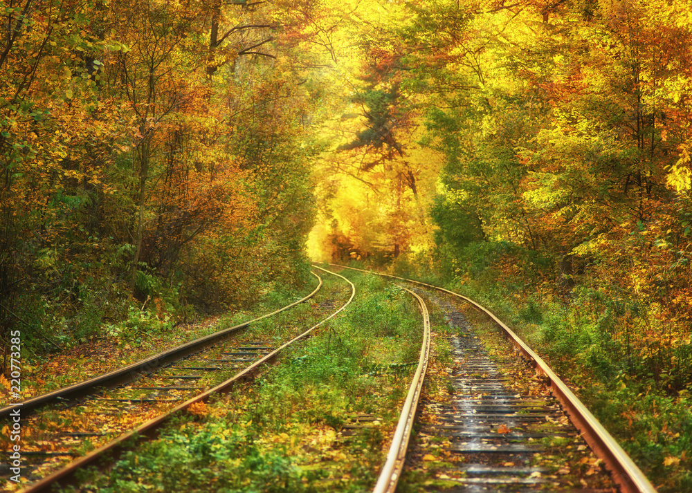 Abandoned railway under autumn colored trees tunnel Abandoned railway under autumn colored trees tunnel