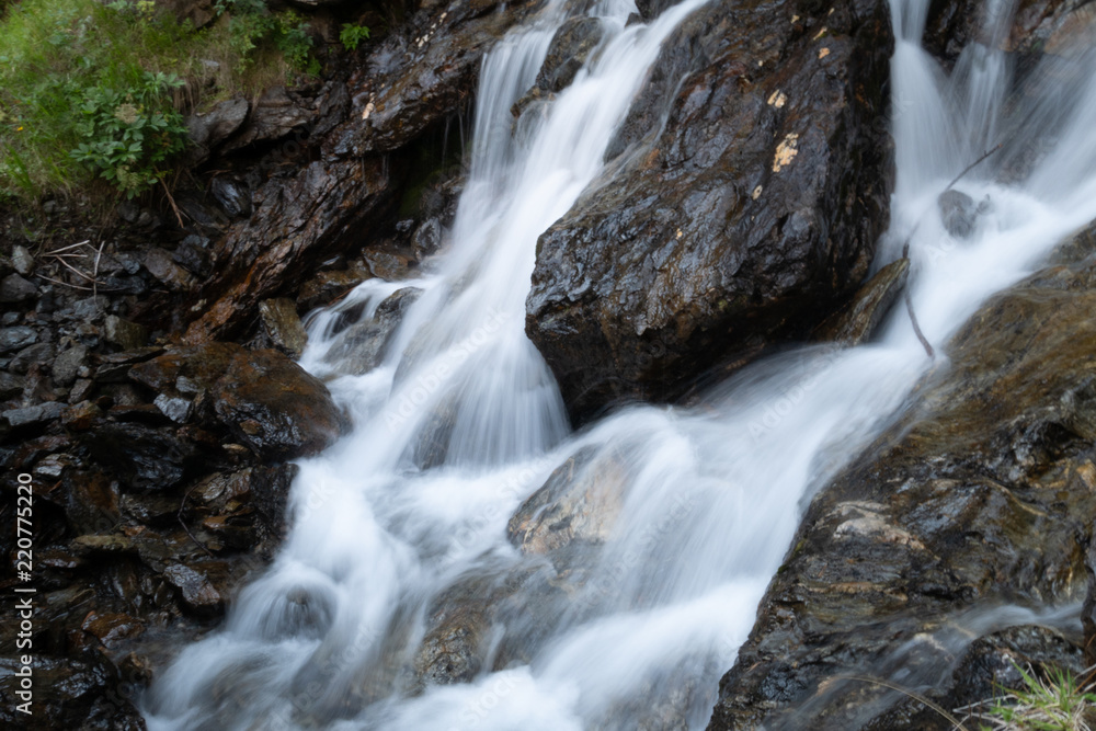 Viola creek, Stelvio National Park, Alps, Italy