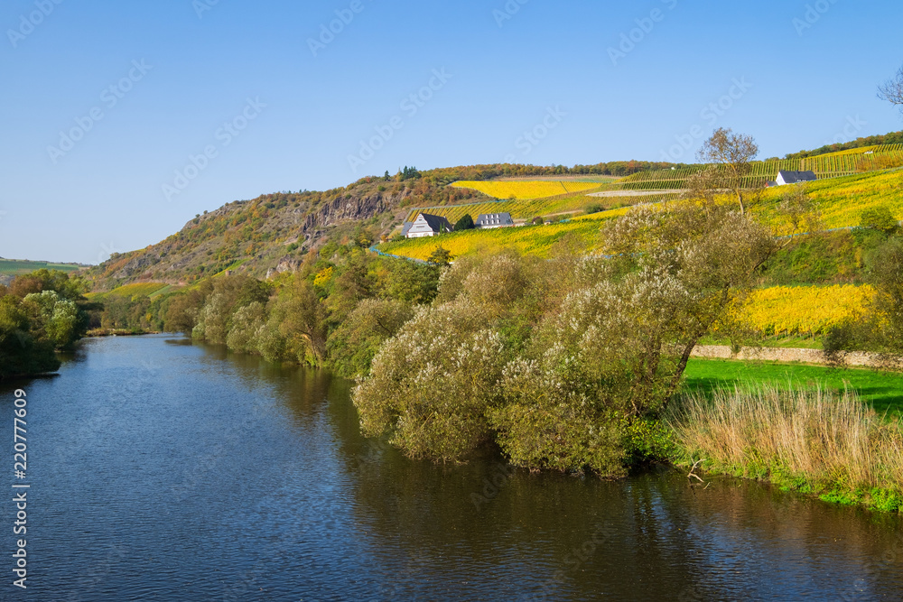Fototapeta premium Herbstlich gefärbte Weinberge im Nahetal