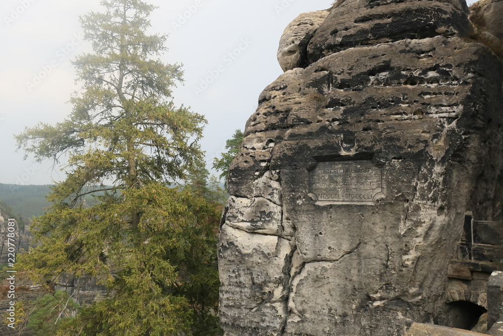 Fototapeta premium Mountan in Saxon Switzerland