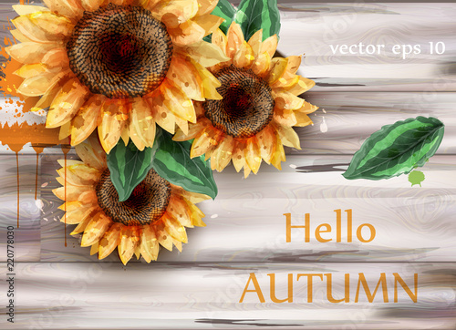 Sunflowers watercolor card Vector. Beautiful floral decor on wooden backgrounds