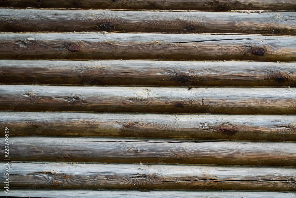 tree, wooden background, background, texture, log, beam tree, wooden background, background, texture, log, beam