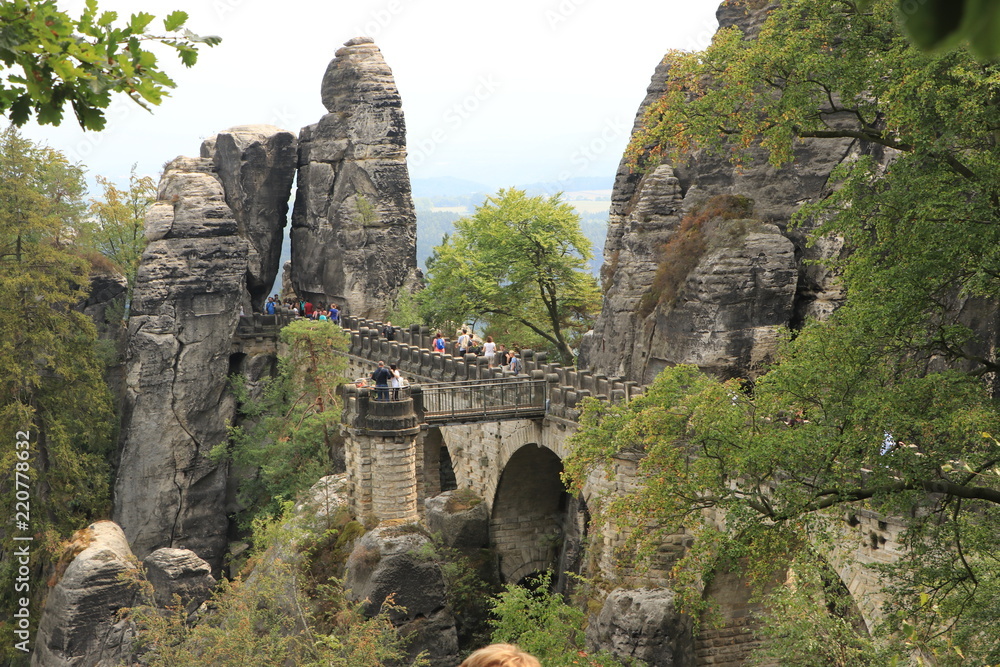 beautiful mountain landscape in Saxon Switzerland. tall green trees among gray mountain rocks on the background of the river