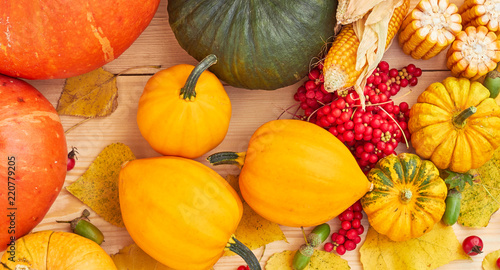 Various pumpkins with magnolia-vine, dog rose berries with acorns and fallen autumn leaves and corn with watled bascet on wooden table, copy space photo