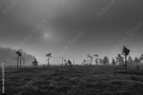 Foto foggy morning