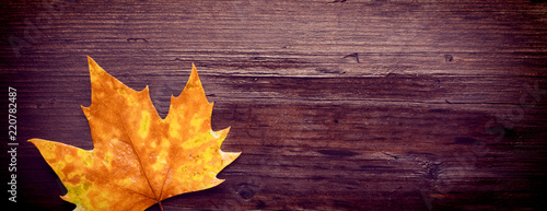 фотографія Dead leaves on wooden bench
