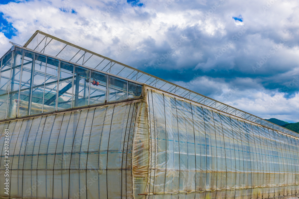 Obraz premium Greenhouse in a firm, Japan