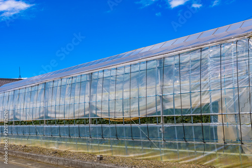 Greenhouse in a firm, Japan © Takashi Images