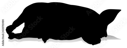 Pig Silhouette Farm Animal
