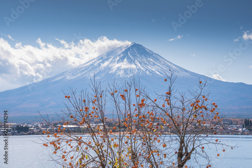 Autumn Season and Mountain Fuji at lake Kawaguchiko