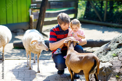 Adorable cute toddler girl and young father feeding little goats and sheeps on a kids farm. Beautiful baby child petting animals in the zoo. man and daughter together photo