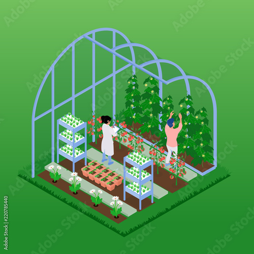 Greenhouse Isometric Composition