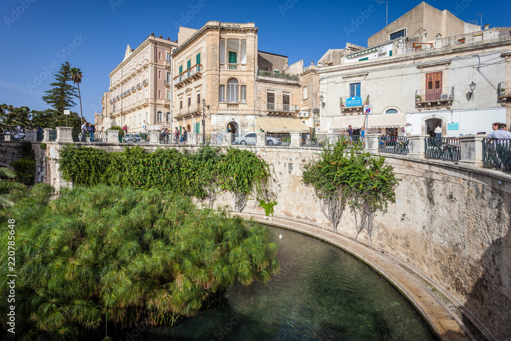 SYRACUSE, ITALY - OCTOBER 14, 2014: Fountain of Arethusa with papyrus plant (Italian: Fonte Aretusa) is a natural fountain on island of Ortygia in historical centre of city
