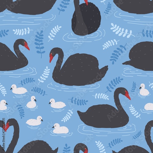Seamless pattern with flock of black swans and cygnets floating in water, pond or lake. Backdrop with beautiful wild bird or waterfowl. Flat colored cartoon vector illustration for wrapping paper.