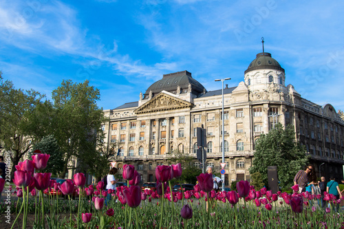 Budapest palace
