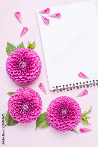Fototapeta Naklejka Na Ścianę i Meble -  Dahlia ball-barbarry flowers and petals with green leaves and buds.