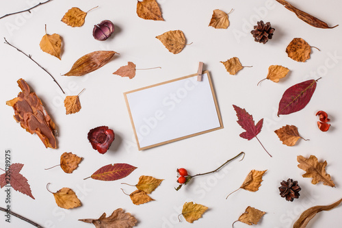 Autumn background: fallen leaves, dry plants, blank stationary template / invitation mock up / empty paper card and clothespins on white background. Top view. Flat lay.