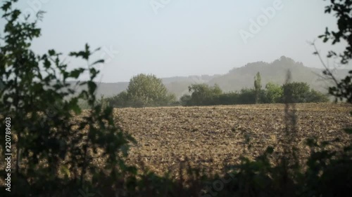 Blick aus dem Wald auf leeres Feld und Abraumhalde des Uranbergbaus der DDR photo