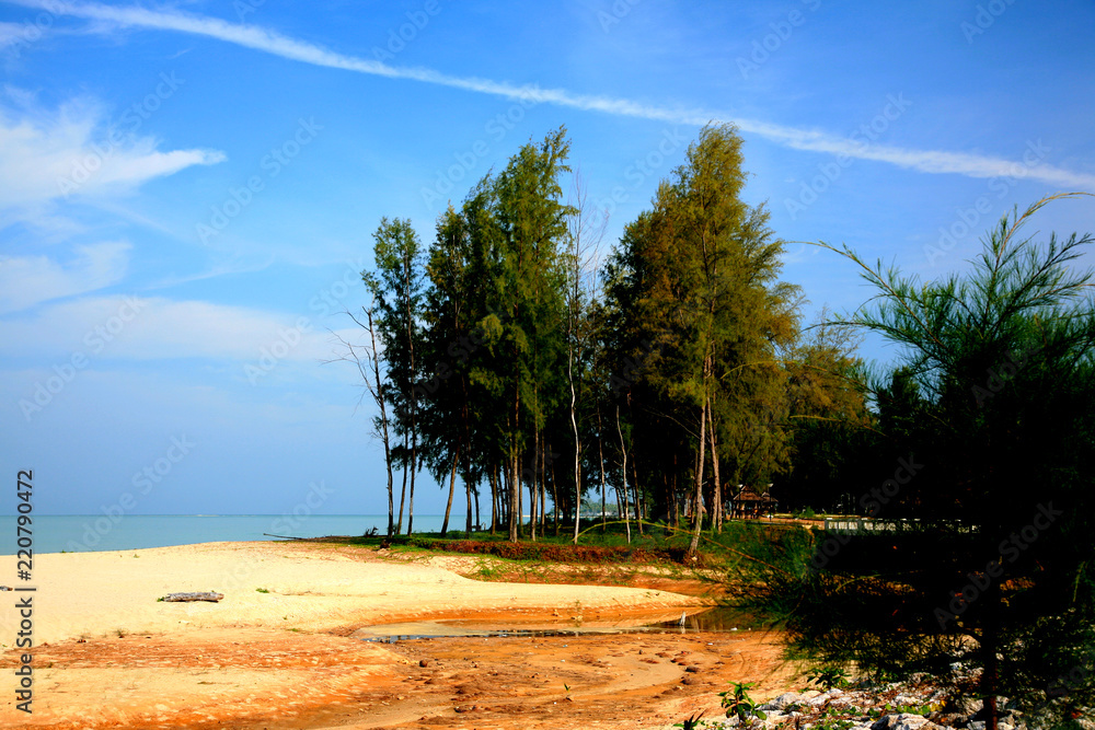 seaside landscape on daylight