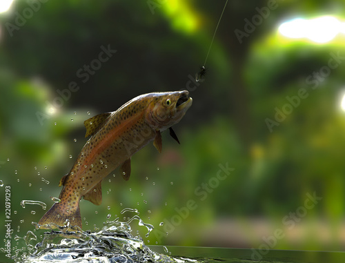 Trout fish jumping out of water river