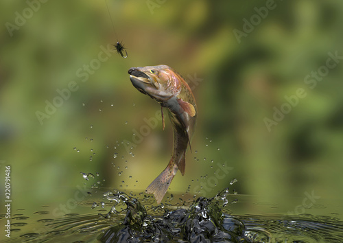 Fish in freshwater river is out to catch bait with fishing line