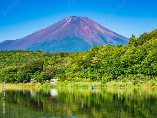 山中湖畔から眺める富士山
