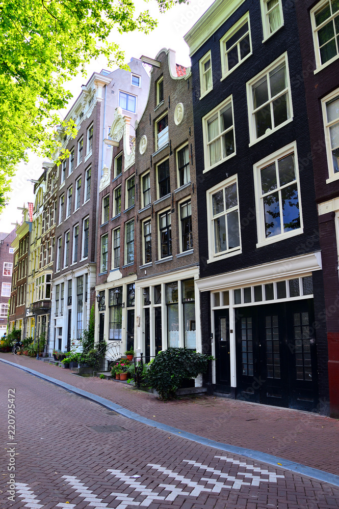 Uliczka w Amsterdamie, próg zwalniający, drzewa i zabytkowe kamienice.