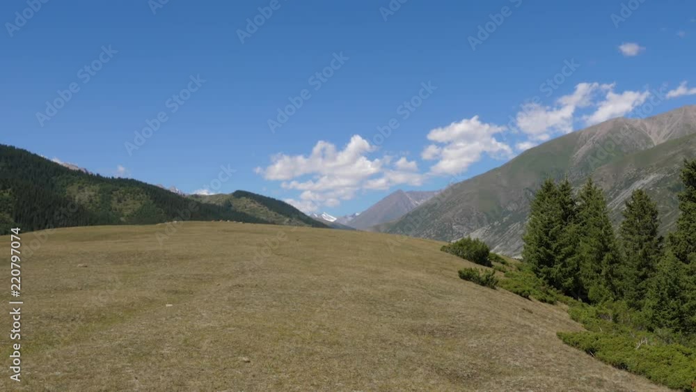 Green mountain, summer meadow and green fields on highlands in valley timelapse Green mountain, summer meadow and green fields on highlands in valley timelapse