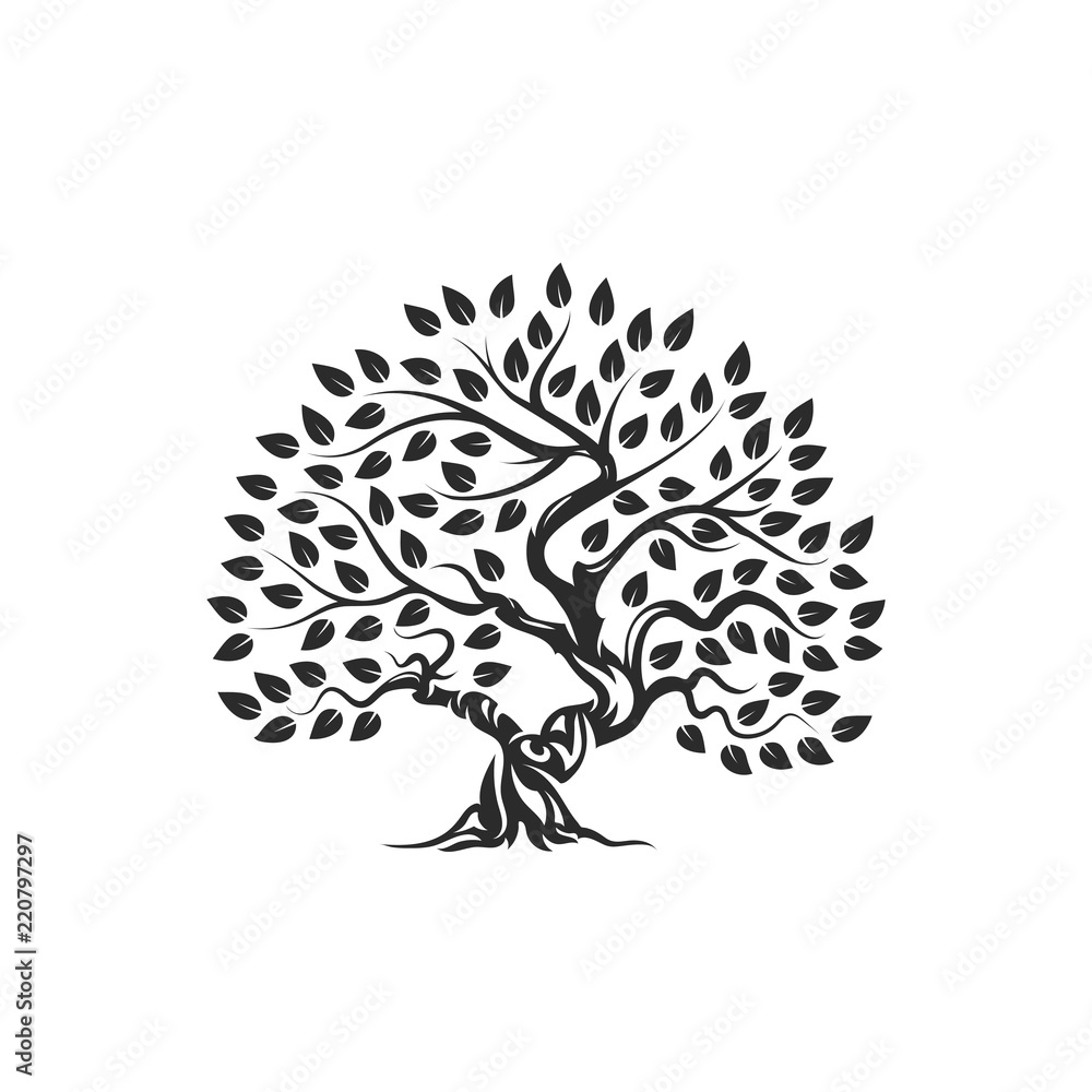 Organic natural and healthy olive tree silhouette logo isolated on white background. Organic natural and healthy olive tree silhouette logo isolated on white background.