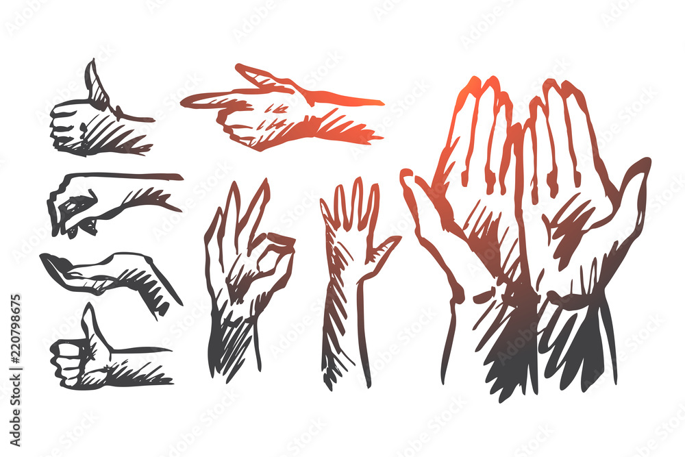 Obraz premium Hand, palm, human, finger, gesture concept. Hand drawn isolated vector.