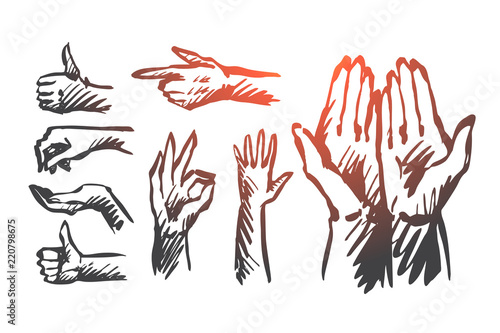 Hand, palm, human, finger, gesture concept. Hand drawn isolated vector.