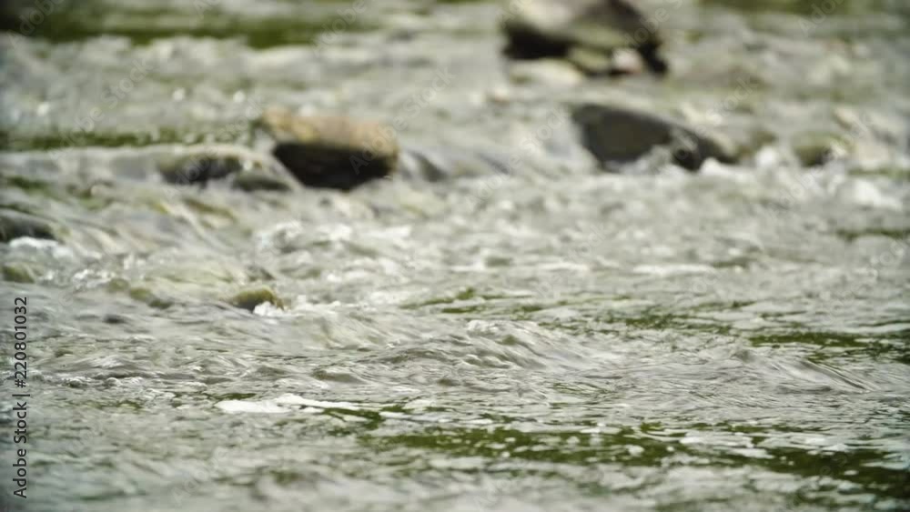 Clean river in nature. Movement of water in a small country river. Clean river in nature. Movement of water in a small country river.