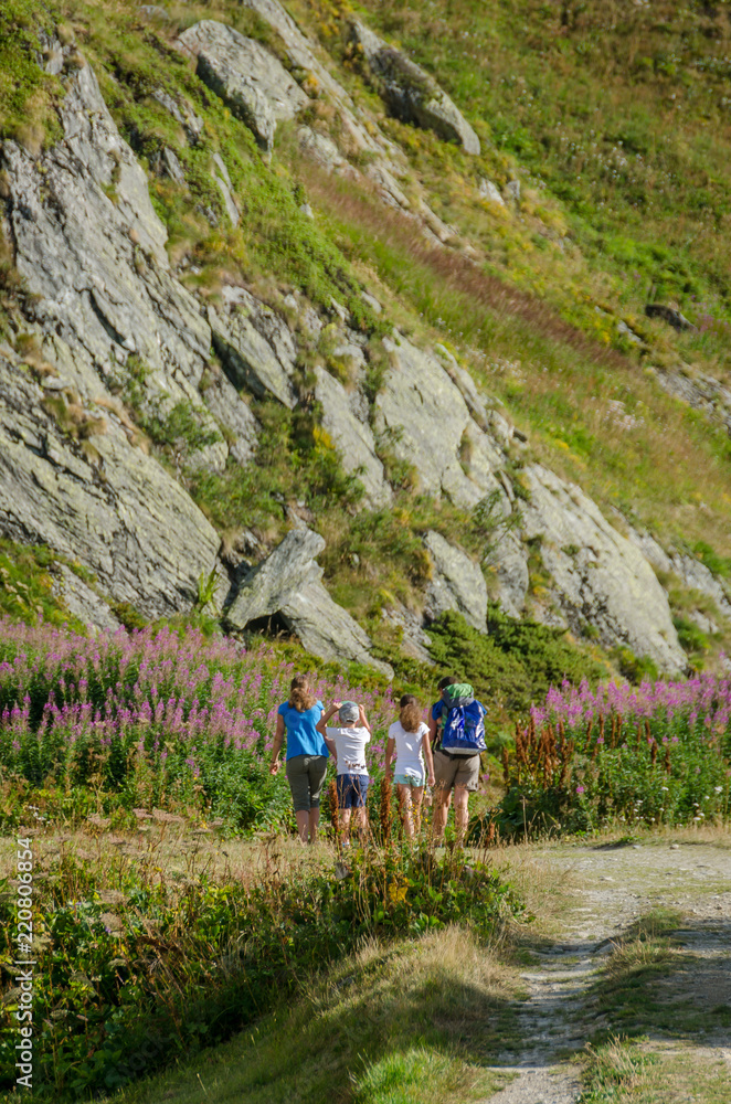 Family hiking between the pink flowers Family hiking between the pink flowers