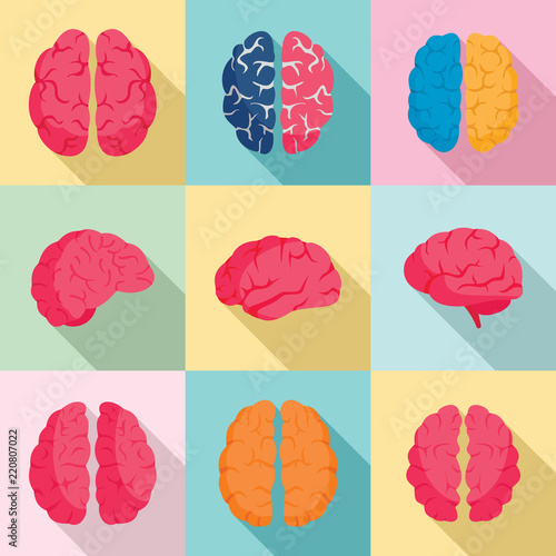 Genius brain icon set. Flat set of genius brain vector icons for web design