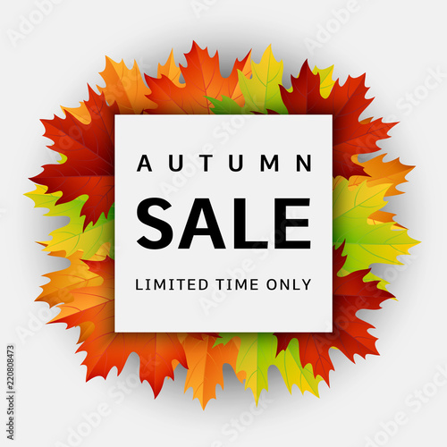 Autumn sale concept background. Realistic illustration of autumn sale vector concept background for web design