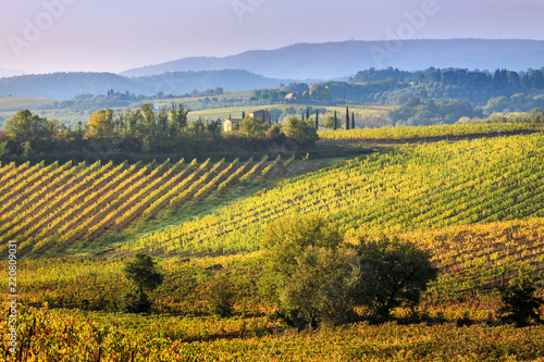 Vineyards in Italy. Photo taken in Tuscany at autumn.