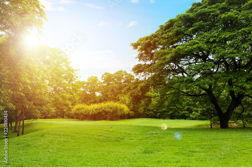 Fototapeta Naklejka Na Ścianę i Meble -  Scenic view of the park with green grass field in city and a cloudy blue sky background