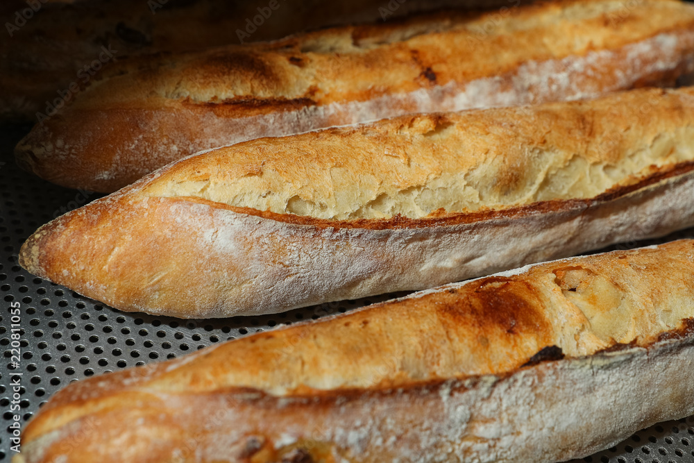 Many French baguettes on a baking sheet in the bakery