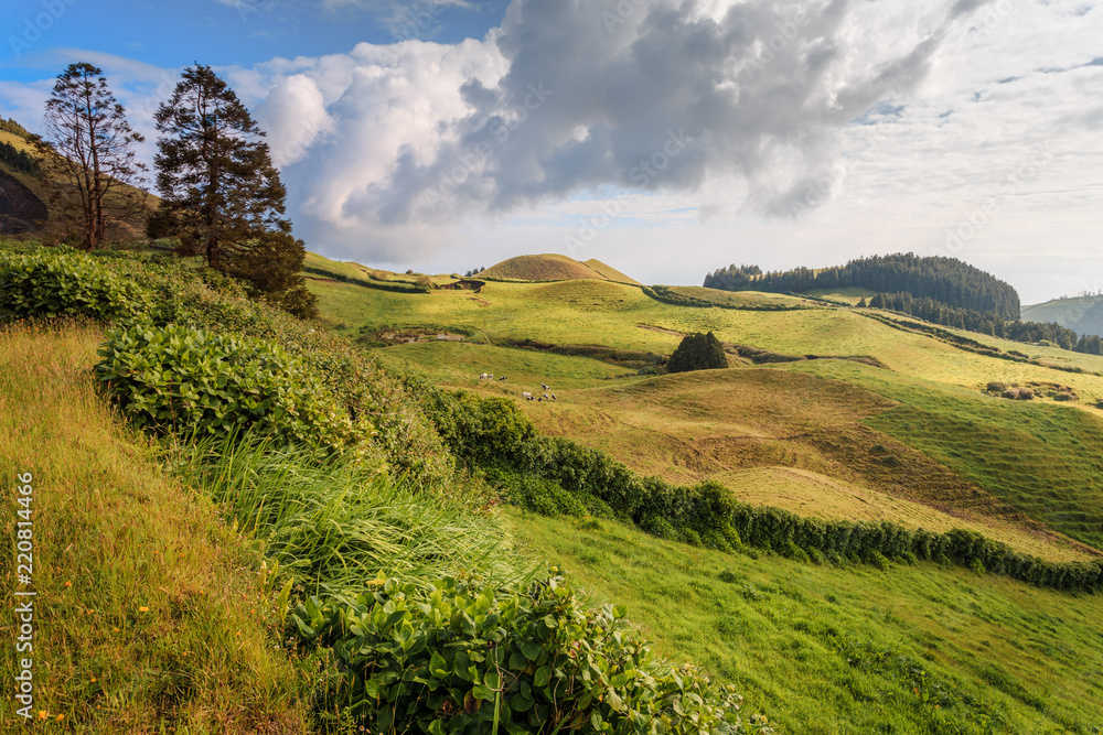 Wonderful hills and fields landscape in Sao Miguel, Azores Islands